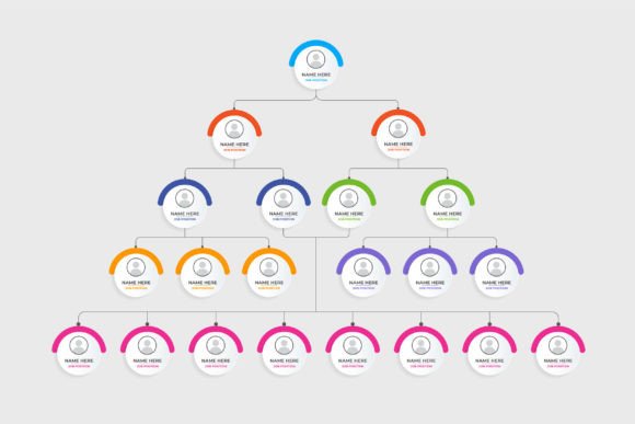 Visualizing Your Team Structure with Job Position Infographics